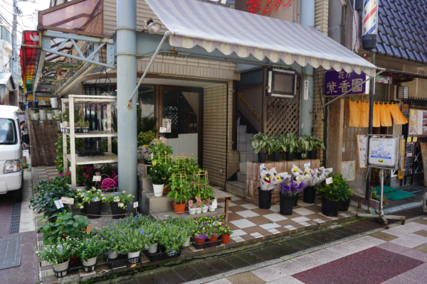 花の紫香園